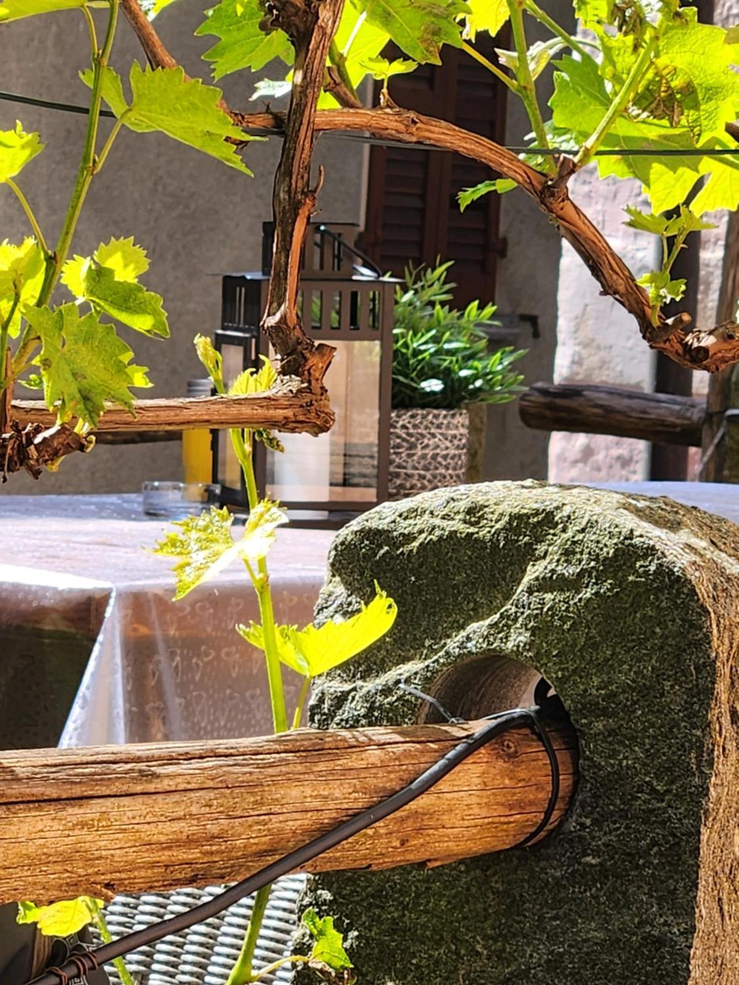 B&B Osteria Morganti Someo Ngoại thất bức ảnh